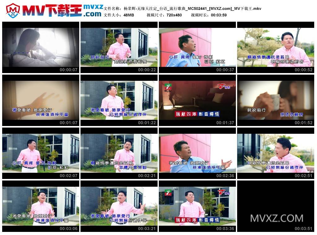 杨荣辉-无缘天注定_台语_流行歌曲_MC502441